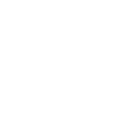 github franko